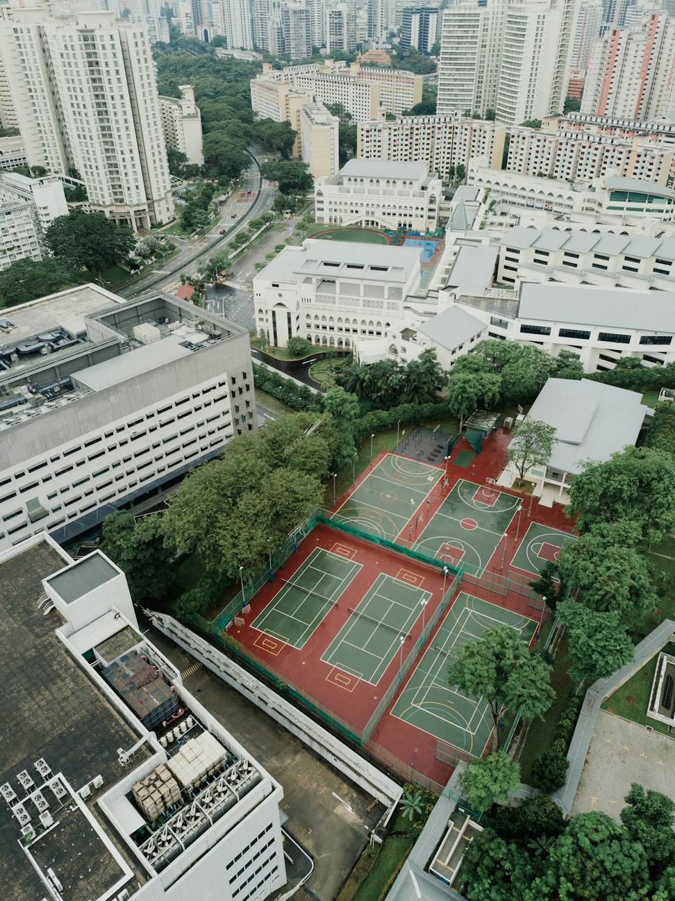 Parkdale Rooftop Oasis