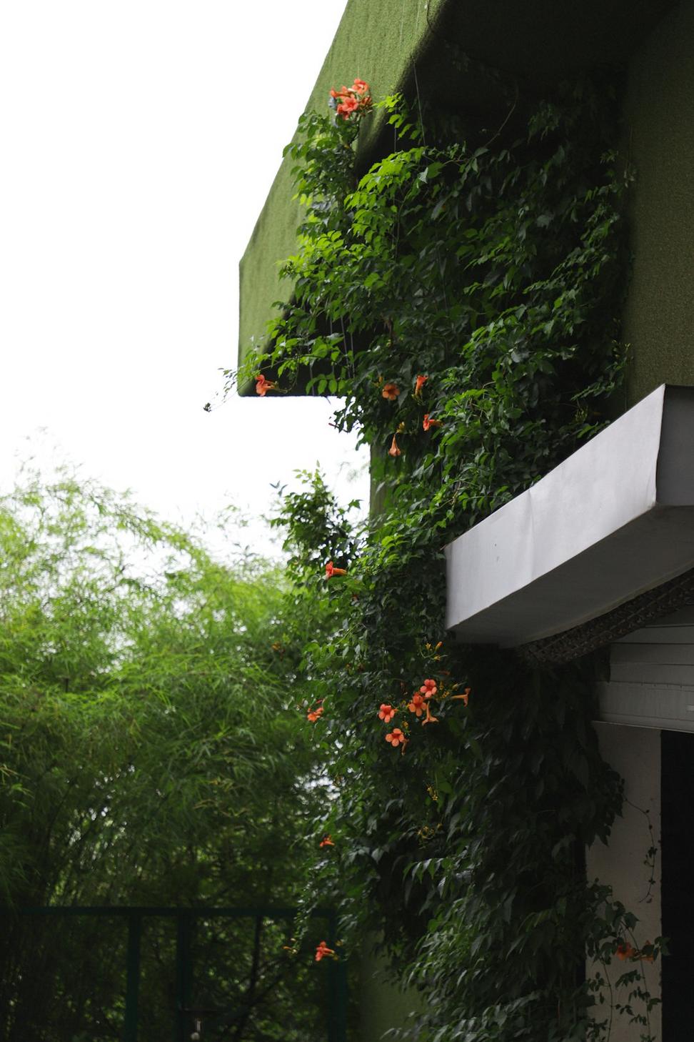 Sustainable design