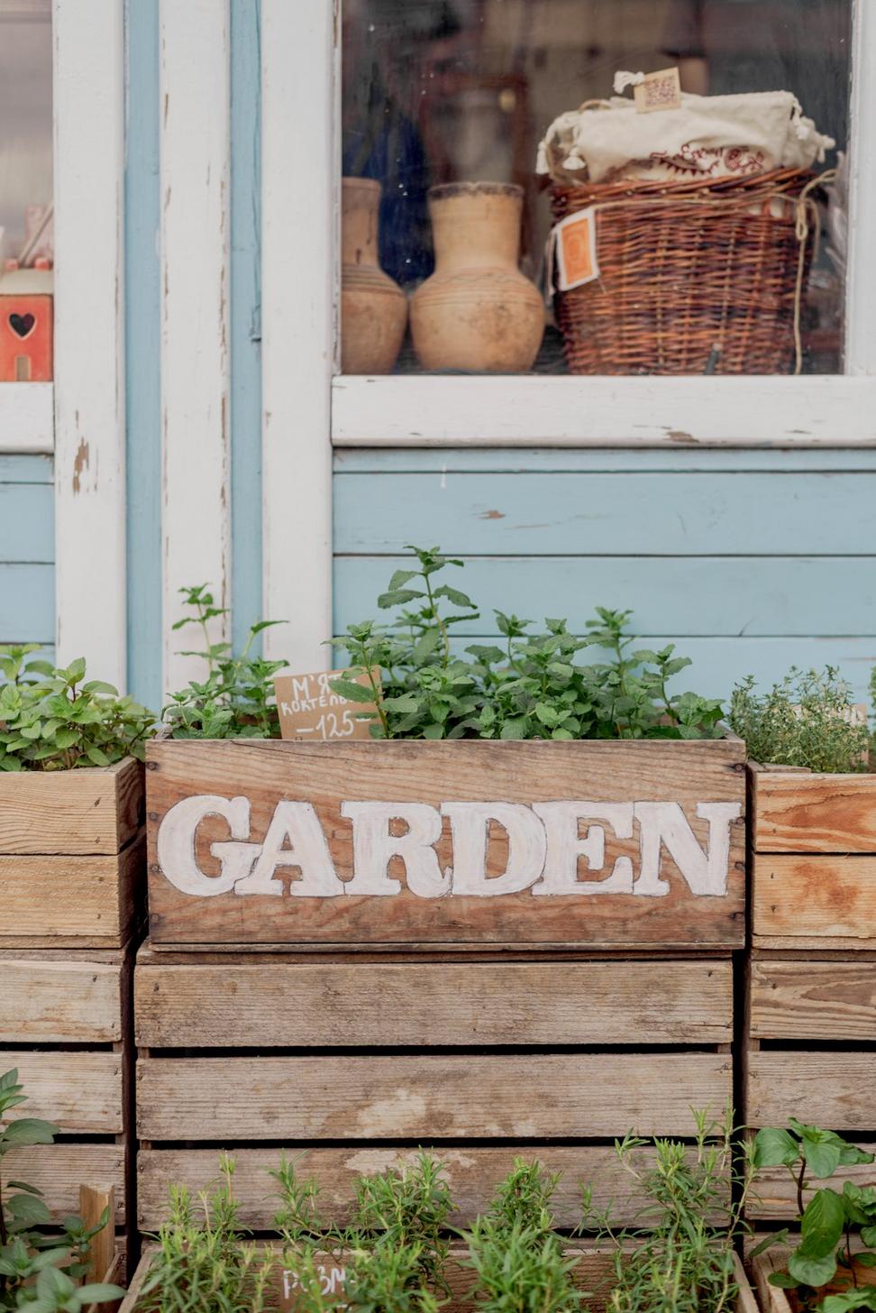 Urban Garden House