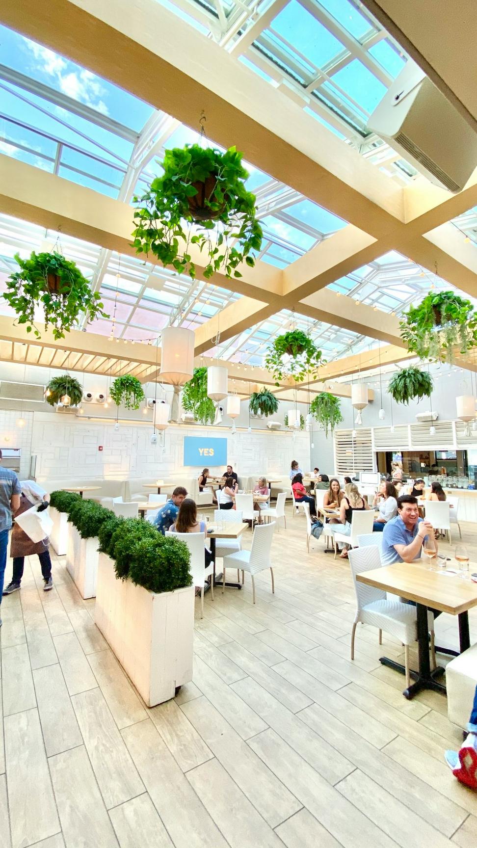 Harvest Kitchen